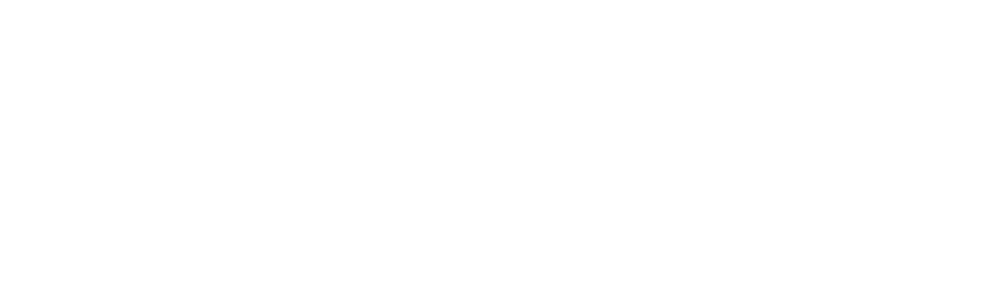 Artion medical software logo